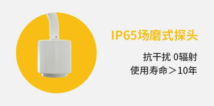 雷電預(yù)警系統(tǒng)-IP65場磨式探頭